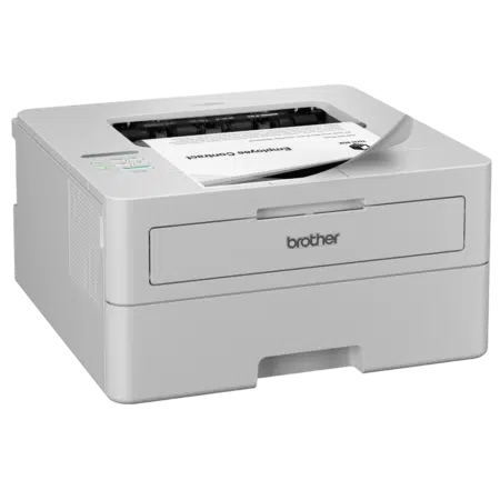 Brother HL-L2865DW